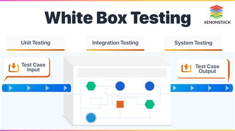 Software Tester In White Box Testing.